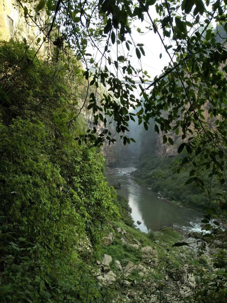 马岭河峡谷大桥,马岭河峡谷