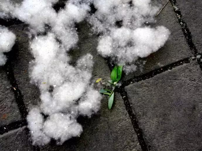 每日一球完整版,每日一字棋