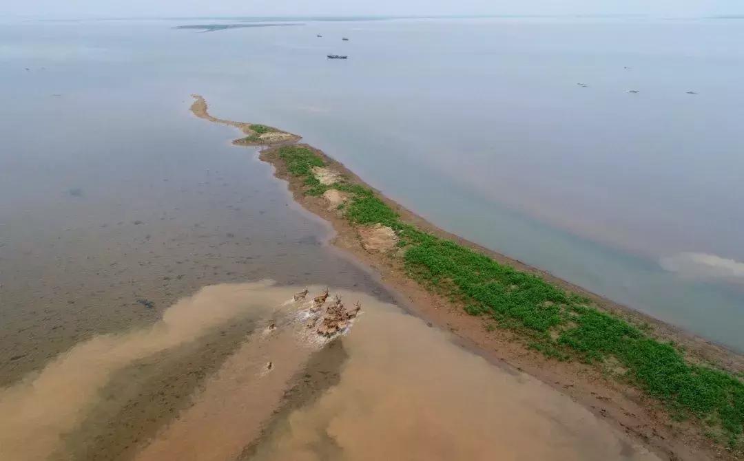 每日一球完整版,每日一字棋