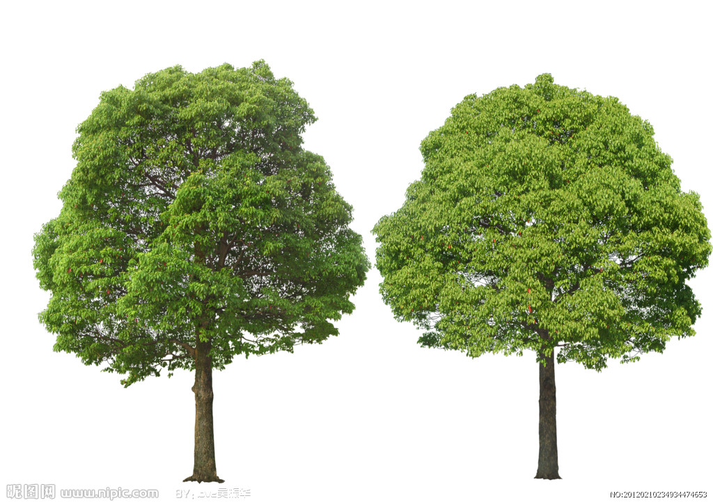 衢州柯城区最新通告,美丽衢州美丽的柯城