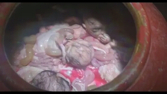 这位导演在当时名气很大！你指定看过他的电影，但你不知道他是谁