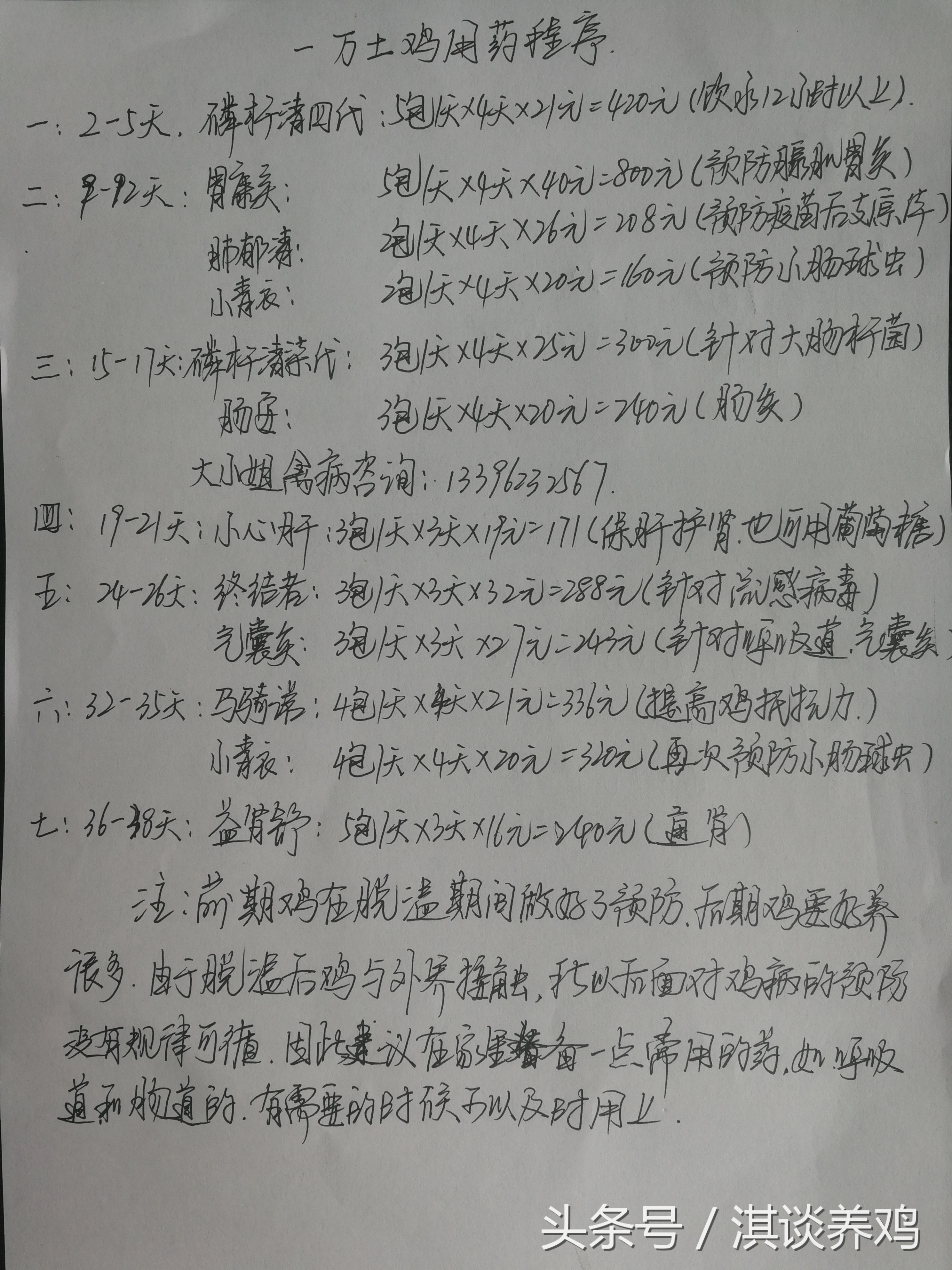 蛋鸡养鸡技术知识大全,养蛋鸡养鸡的全套技术学习