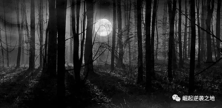 “我不*身卖**，但是卖子宫”，揭秘代孕黑色产业链