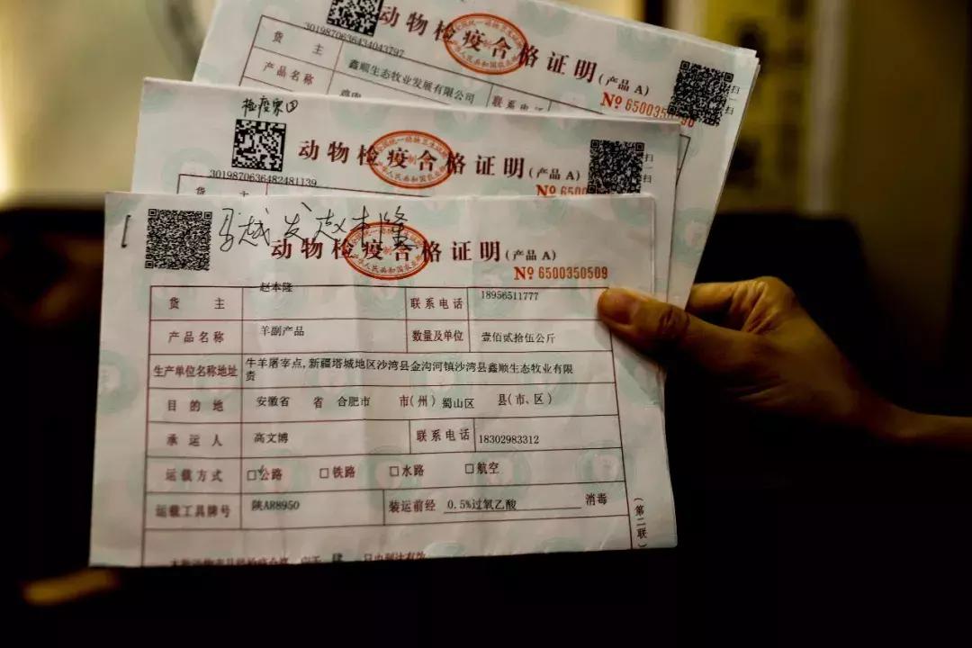 合肥的正宗*疆新**羊肉店，跨越千里空运而来，老板说假一赔店！