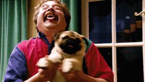 合肥的正宗*疆新**羊肉店，跨越千里空运而来，老板说假一赔店！