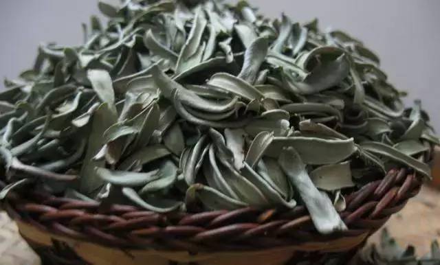 余甘子这种果实可以吃吗,余甘子野果介绍