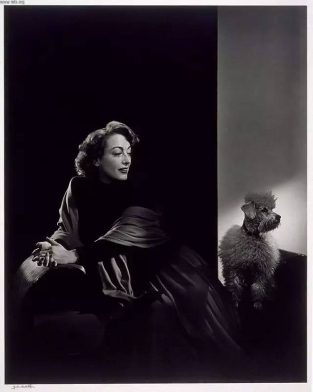 100幅顶级人像摄影,100位摄影大师视频