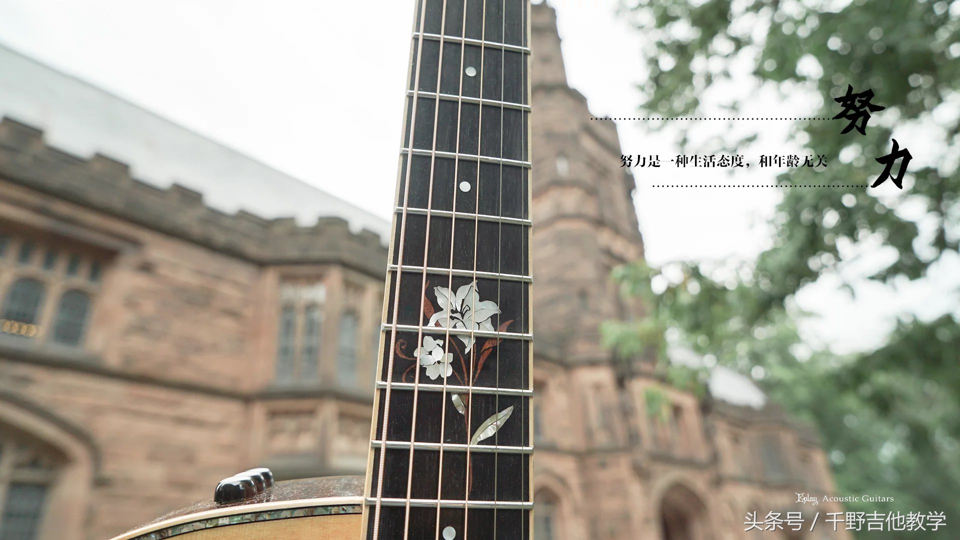 200元以内的新手入门吉他推荐,新手买吉他f600还是300好