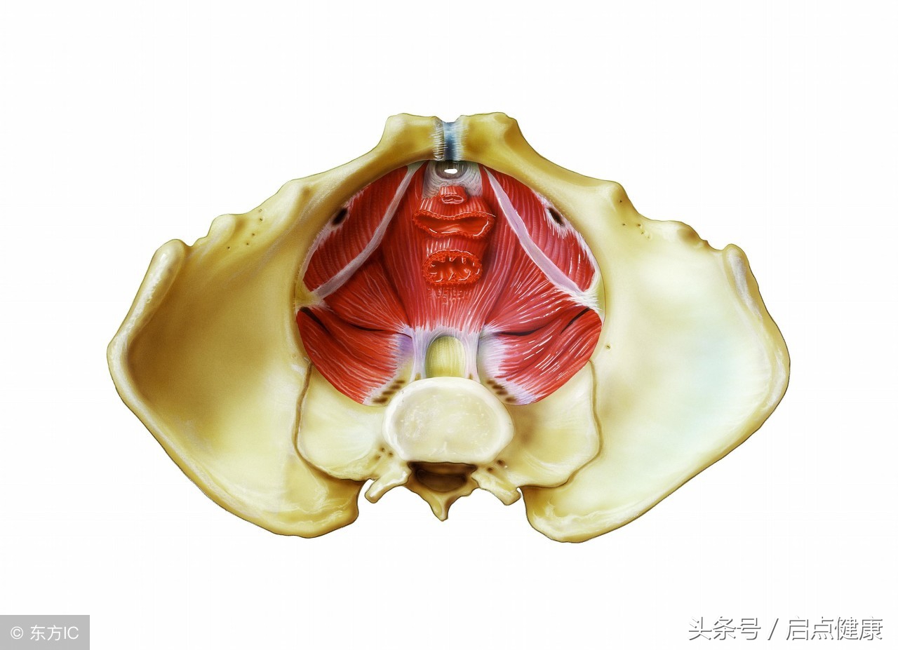 产后两性不和谐的症状,产后为什么夫妻关系变差