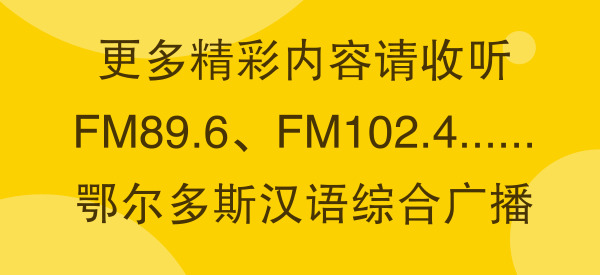 牛气！鄂尔多斯一足球队进入全国青少年校园足球联赛总决赛