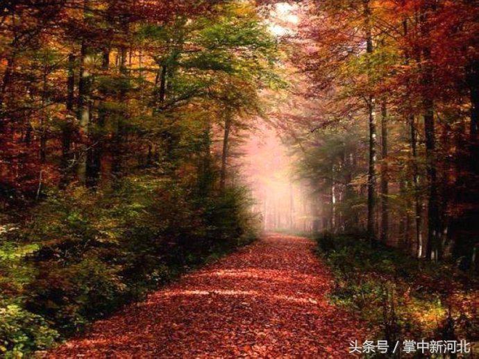 阴道竟然如此美丽