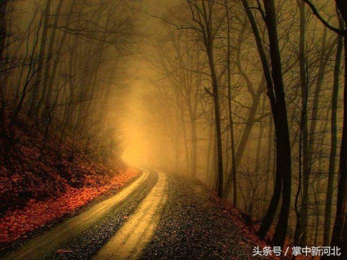 阴道竟然如此美丽