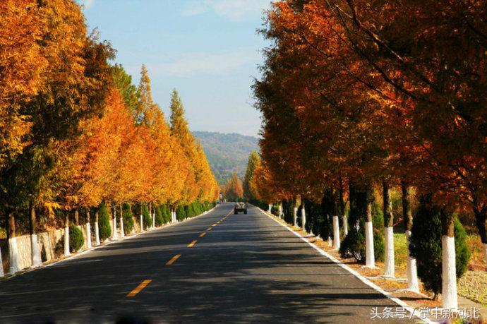 阴道竟然如此美丽