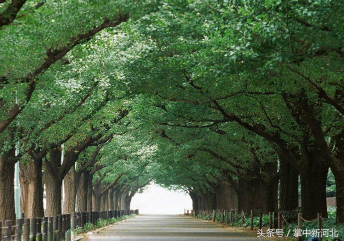 阴道竟然如此美丽