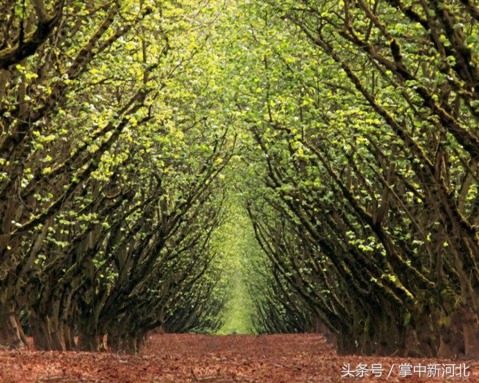 阴道竟然如此美丽