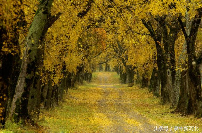 阴道竟然如此美丽