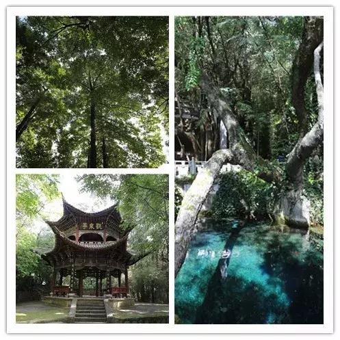 大理洱海环游路线需要多久,大理洱海环游路线从哪里开始