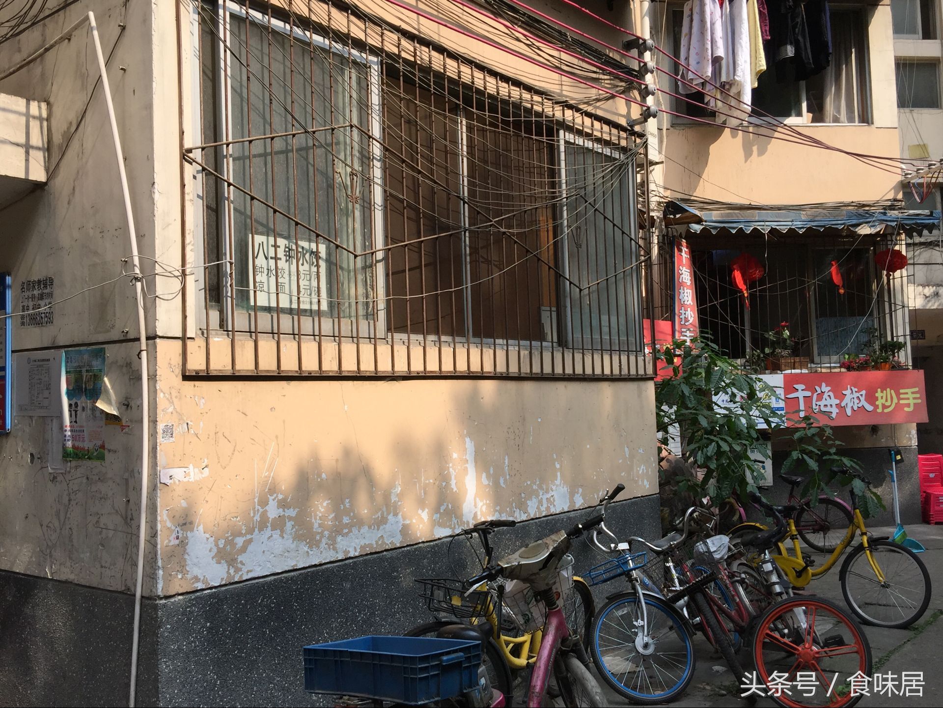 专注饺子15年,十种经典水饺