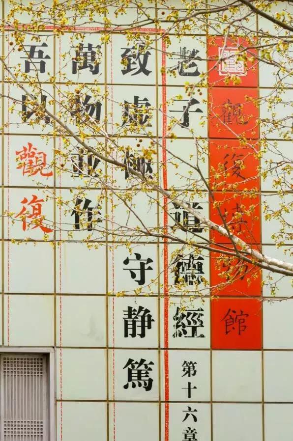 踏青游玩是什么意思,踏青旅游什么意思