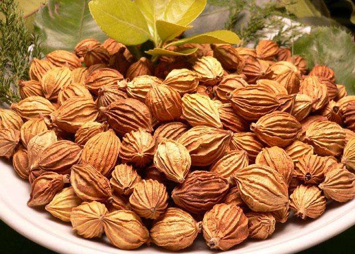 广西中药材最新收购价格,中药材价格最新一览表