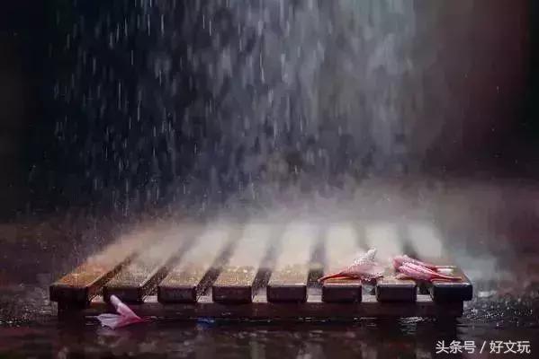 乾隆七宝手链图片,乾隆通宝手链