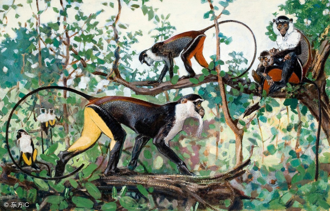 猴配合什么生肖好财运呢,最适合跟生肖猴合作的生肖