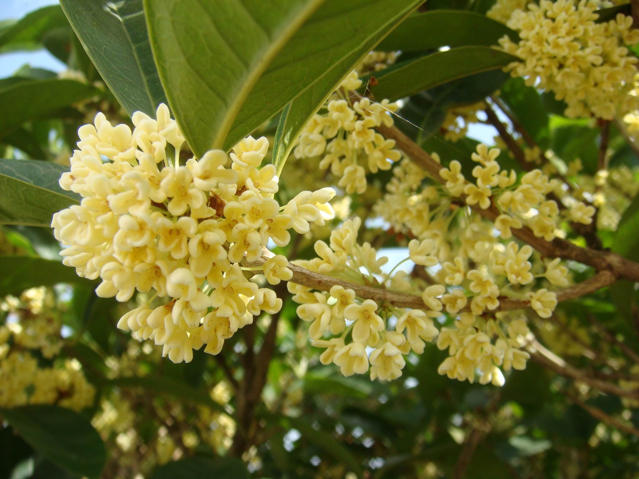 衢州柯城区最新通告,美丽衢州美丽的柯城