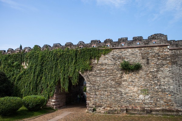 衢州柯城区最新通告,美丽衢州美丽的柯城