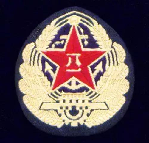 中国海军部队标志,海军所有等级和标徽