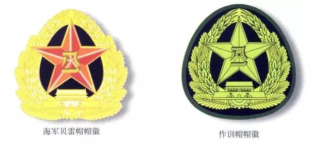 中国海军部队标志,海军所有等级和标徽
