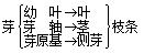 初中生物知识点总结北师大版,初中生物知识点总结及实验图