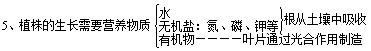 初中生物知识点总结北师大版,初中生物知识点总结及实验图