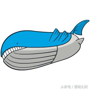 神奇宝贝大图鉴,神奇宝贝图鉴大全集