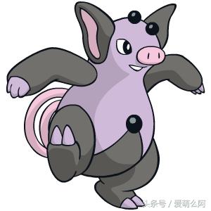 神奇宝贝大图鉴,神奇宝贝图鉴大全集