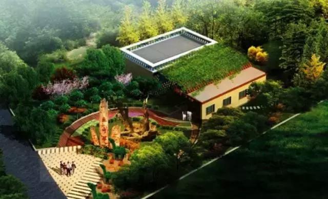 青岛地铁11号线早上几点发车,青岛地铁11号线全程时间