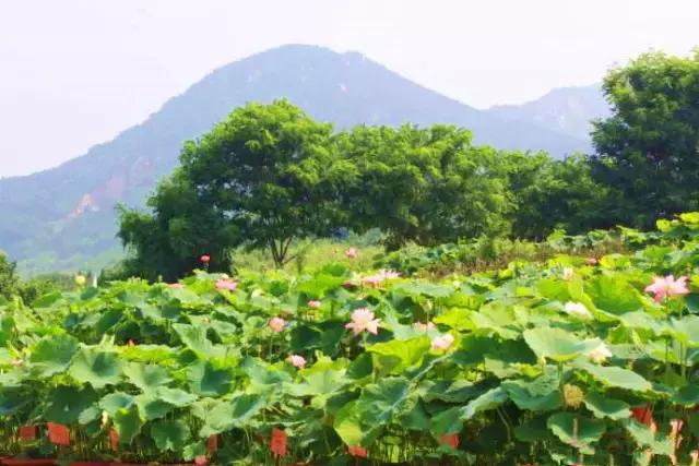 青岛地铁11号线早上几点发车,青岛地铁11号线全程时间