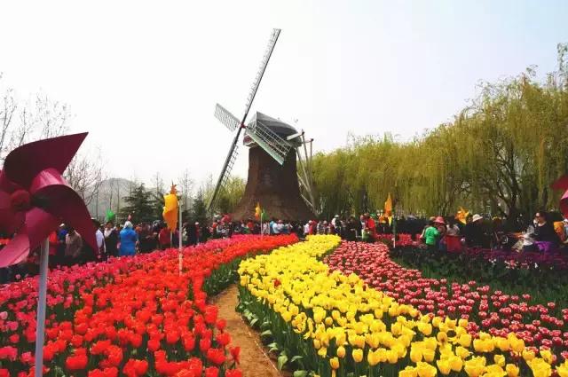 青岛地铁11号线早上几点发车,青岛地铁11号线全程时间