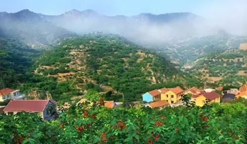 青岛地铁11号线早上几点发车,青岛地铁11号线全程时间