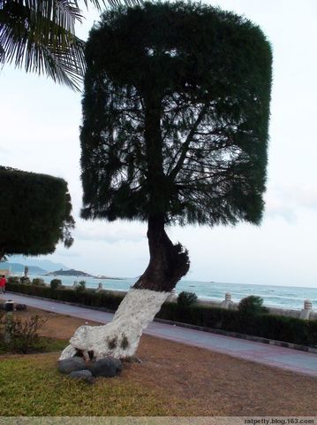 越南芽庄海边的海鲜,海滩有哪些海产品