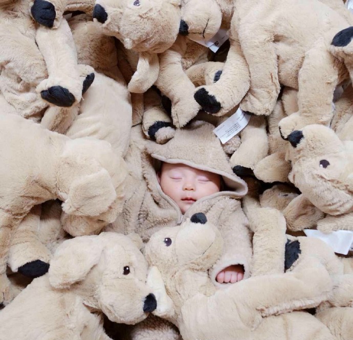 宝宝创意照在家就能拍的,三个月超萌宝宝艺术照