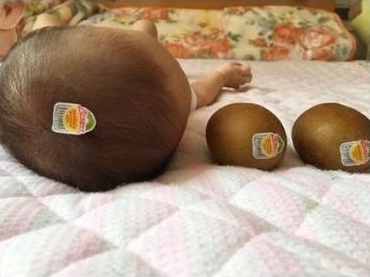 宝宝创意照在家就能拍的,三个月超萌宝宝艺术照