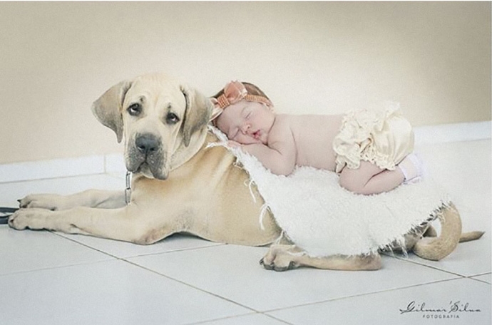 宝宝创意照在家就能拍的,三个月超萌宝宝艺术照