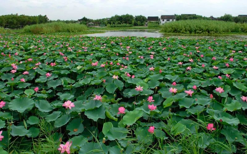 常熟虞山春色,春色莫辜负
