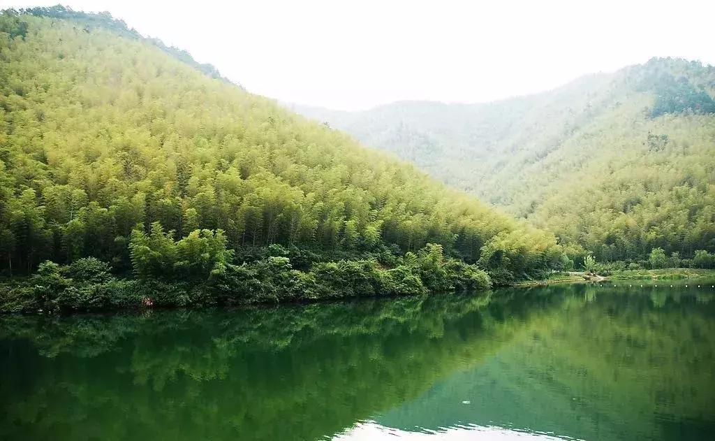 浜斾竴浜插瓙鍑烘父濂藉幓澶勫懆杈规父,杩戞湡鏈夊嚭娓歌鍒掑悧