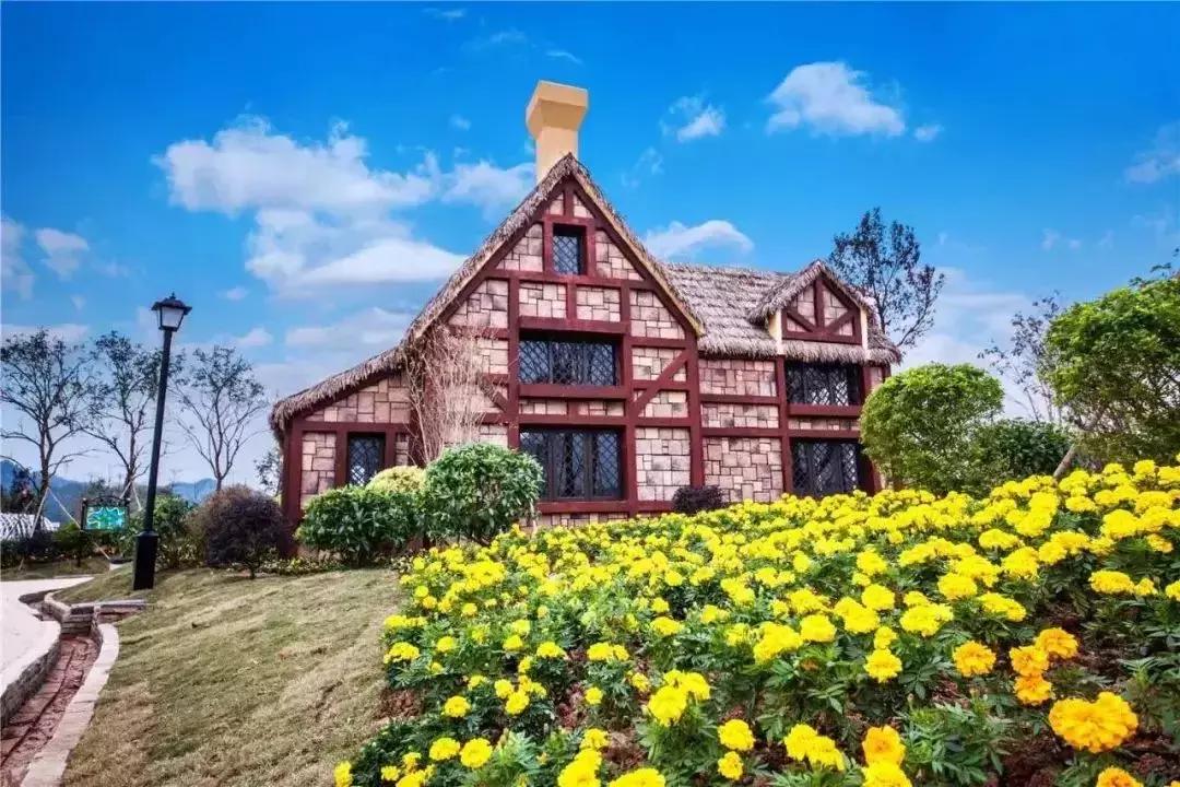 浜斾竴浜插瓙鍑烘父濂藉幓澶勫懆杈规父,杩戞湡鏈夊嚭娓歌鍒掑悧