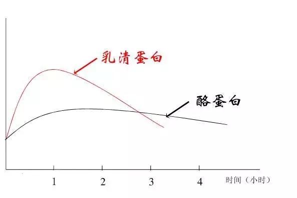 瘦子增肌吃乳清蛋白还是增肌粉,瘦子吃增肌粉还是蛋白质粉