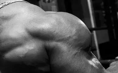 瘦子增肌吃乳清蛋白还是增肌粉,瘦子吃增肌粉还是蛋白质粉