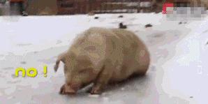 评车经典,评车轩逸经典