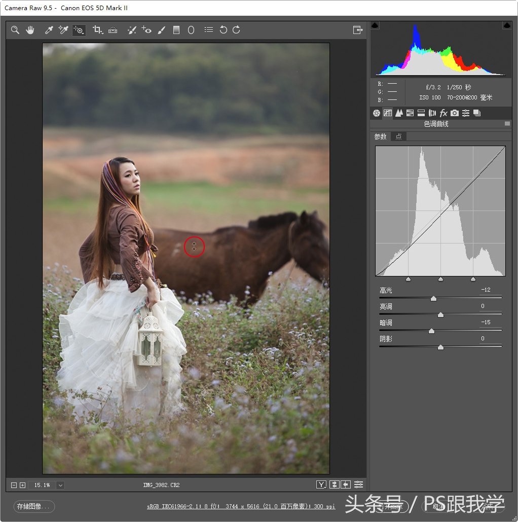 adobecameraraw工具怎么添加,cameraraw首选项怎么设置
