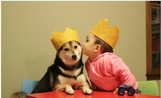 宝宝创意照在家就能拍的,三个月超萌宝宝艺术照